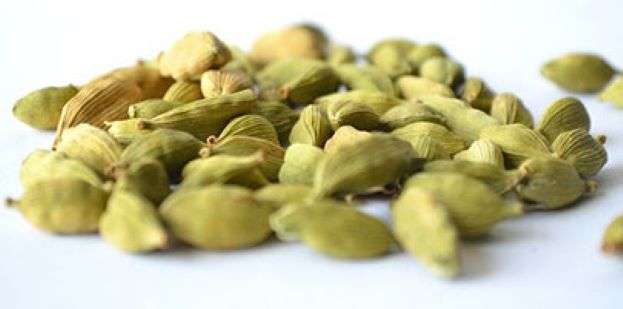 CARDAMOM